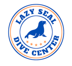 Lazy Seal Diving profesyonel, kaliteli ve kişiselleştirilmiş eğitim sunmayı ilke edinmiş bir tüplü dalış (scuba) merkezidir. İstanbul tüplü dalış eğitimi merkezi