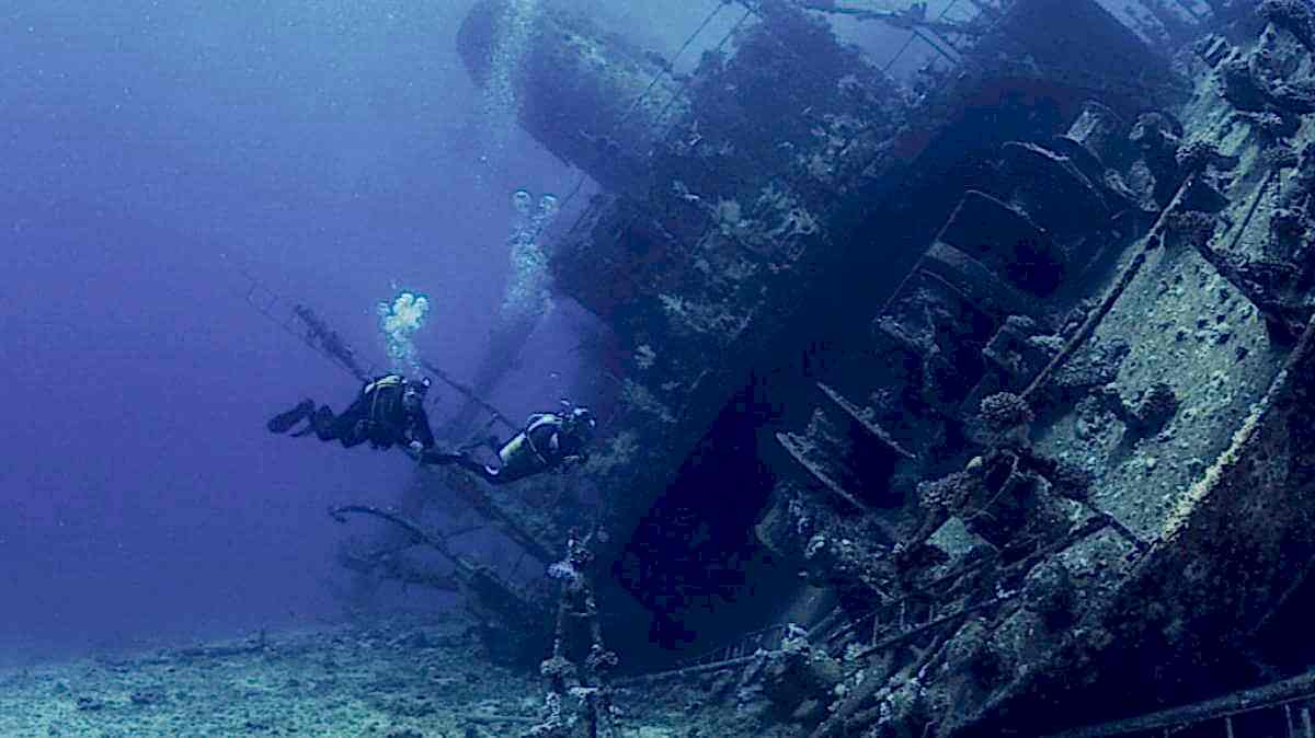 Lazy Seal Diving profesyonel, kaliteli ve kişiselleştirilmiş eğitim sunmayı ilke edinmiş bir tüplü dalış (scuba) merkezidir. İstanbul tüplü dalış eğitimi merkezi