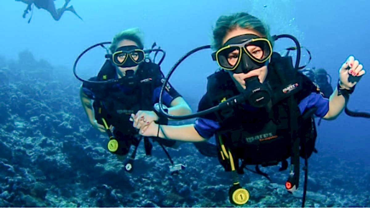 Lazy Seal Diving profesyonel, kaliteli ve kişiselleştirilmiş eğitim sunmayı ilke edinmiş bir tüplü dalış (scuba) merkezidir. İstanbul tüplü dalış eğitimi merkezi