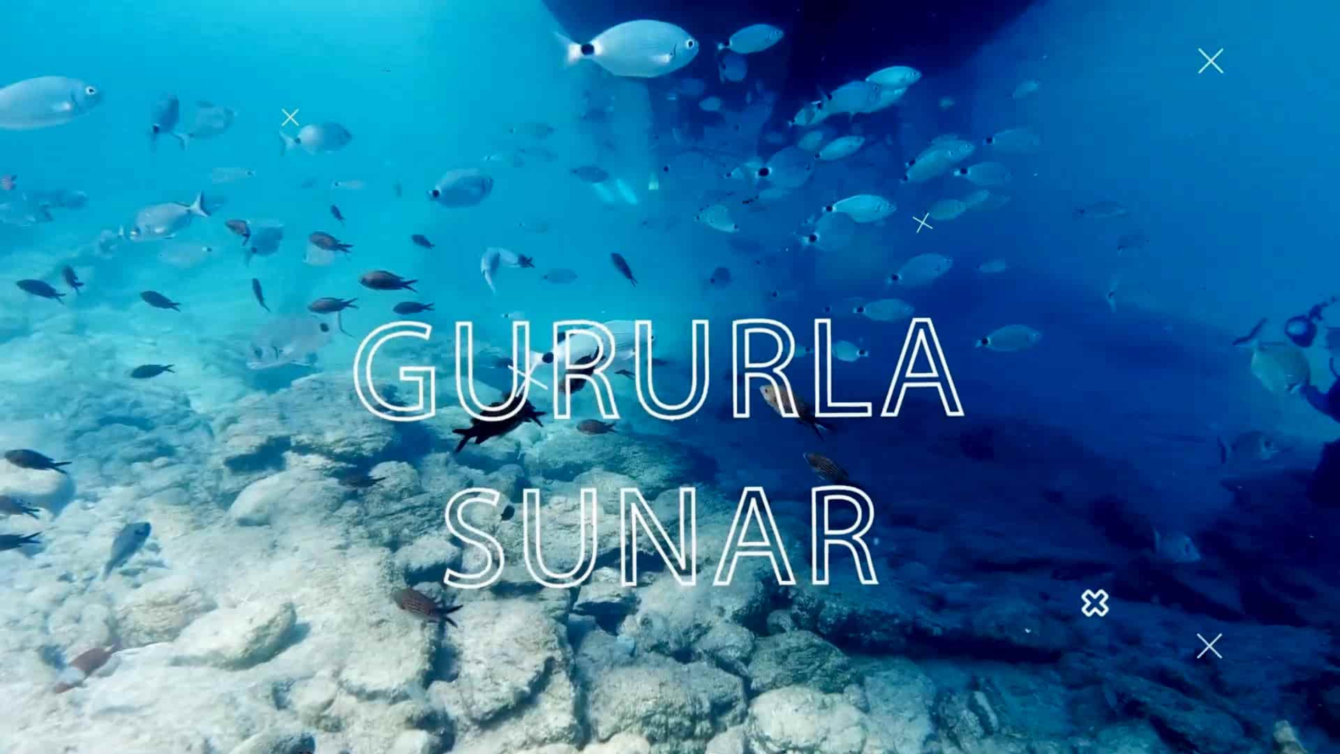 Lazy Seal Diving profesyonel, kaliteli ve kişiselleştirilmiş eğitim sunmayı ilke edinmiş bir tüplü dalış (scuba) merkezidir. İstanbul tüplü dalış eğitimi merkezi