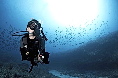 Lazy Seal Diving profesyonel, kaliteli ve kişiselleştirilmiş eğitim sunmayı ilke edinmiş bir tüplü dalış (scuba) merkezidir. İstanbul tüplü dalış eğitimi merkezi