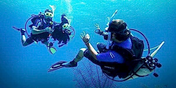 Lazy Seal Diving profesyonel, kaliteli ve kişiselleştirilmiş eğitim sunmayı ilke edinmiş bir tüplü dalış (scuba) merkezidir. İstanbul tüplü dalış eğitimi merkezi