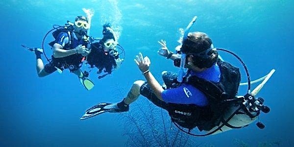 Lazy Seal Diving profesyonel, kaliteli ve kişiselleştirilmiş eğitim sunmayı ilke edinmiş bir tüplü dalış (scuba) merkezidir. İstanbul tüplü dalış eğitimi merkezi