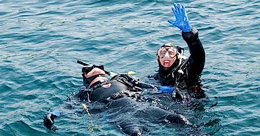 Lazy Seal Diving profesyonel, kaliteli ve kişiselleştirilmiş eğitim sunmayı ilke edinmiş bir tüplü dalış (scuba) merkezidir. İstanbul tüplü dalış eğitimi merkezi