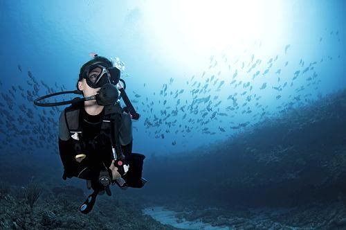 Lazy Seal Diving profesyonel, kaliteli ve kişiselleştirilmiş eğitim sunmayı ilke edinmiş bir tüplü dalış (scuba) merkezidir. İstanbul tüplü dalış eğitimi merkezi